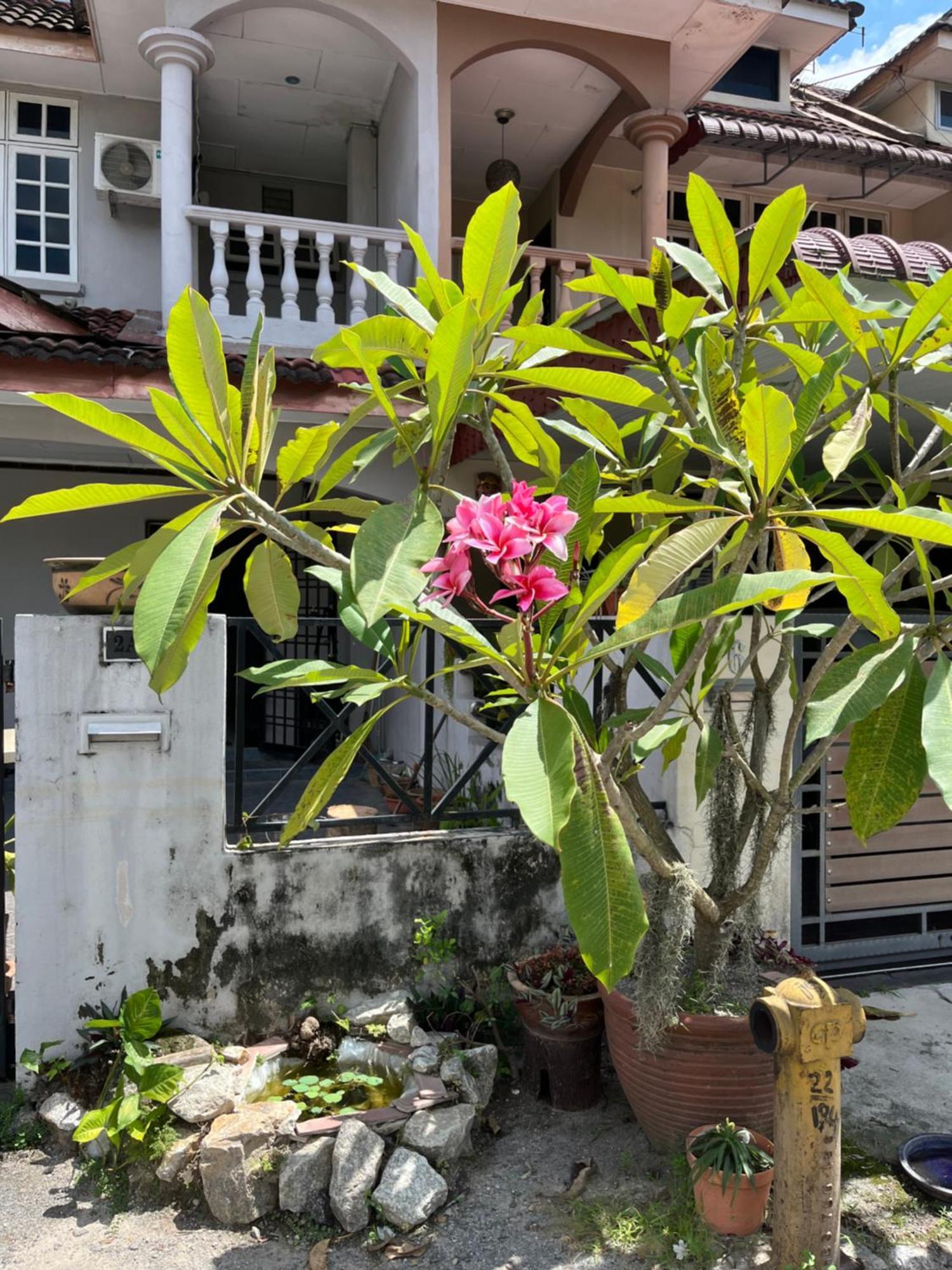 Lotus Backpacker * Ipoh