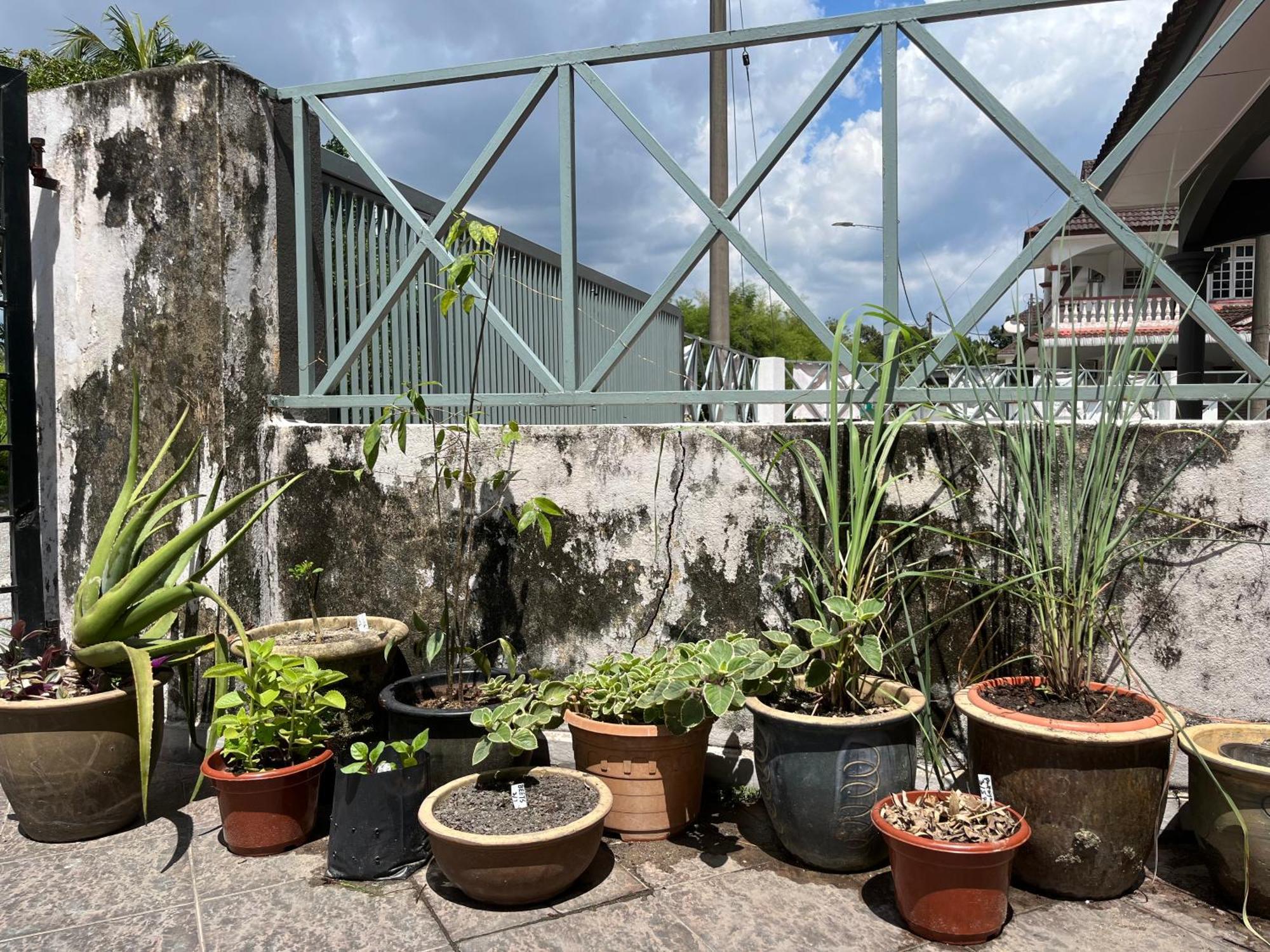 Lotus Backpacker Asrama Ipoh